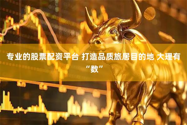 专业的股票配资平台 打造品质旅居目的地 大理有“数”