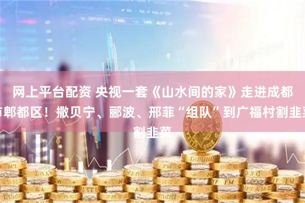 网上平台配资 央视一套《山水间的家》走进成都市郫都区！撒贝宁、郦波、邢菲“组队”到广福村割韭菜
